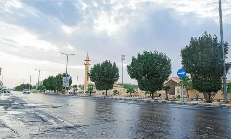 الأرصاد الوطنية: استمرار الأمطار حتى نهاية الأسبوع وهطولات غزيرة في مناطق جديدة خلال الساعات القادمة