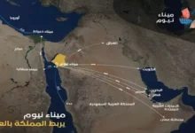 السعودية تعلن عن مشروع ضخم لجعل مضيق هرمز خاليًا من السفن