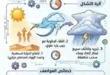 المسند: المراويح تشير إلى دخول الربيع مع هطولات مطرية غزيرة وموجات غبار تستمر لعدة أسابيع
