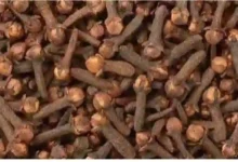 النمر يكشف عن تأثير شرب القهوة السعودية على سيولة الدم