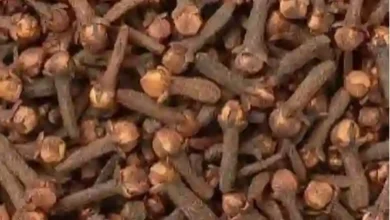 النمر يكشف عن تأثير شرب القهوة السعودية على سيولة الدم