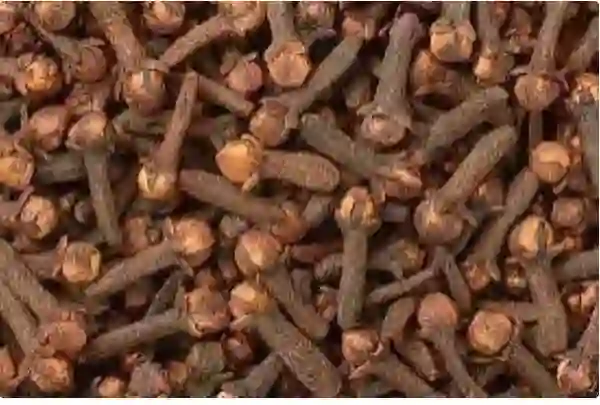 النمر يكشف عن تأثير شرب القهوة السعودية على سيولة الدم