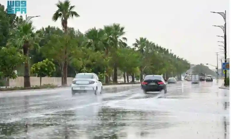 الوطني للأرصاد: هطولات مطرية غزيرة في الشرقية وتدني الرؤية على عدة مناطق بدءًا من مساء الخميس