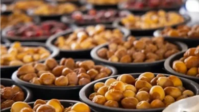 اليابان تستورد لأول مرة كميات كبيرة من التمور السعودية مسجلة أرقامًا قياسية جديدة!