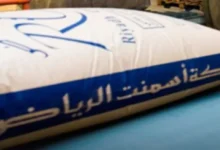 تحديد العائد لكل سهم في أسمنت الرياض بعد قرار الجمعية العمومية للربع الأول من 2026