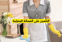 التأمين على العمالة المنزلية